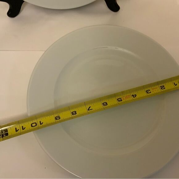 New Sur la Table Turkey WHITE Rim Dinner Plate 10 5/8" set of 2 - Picture 4 of 6